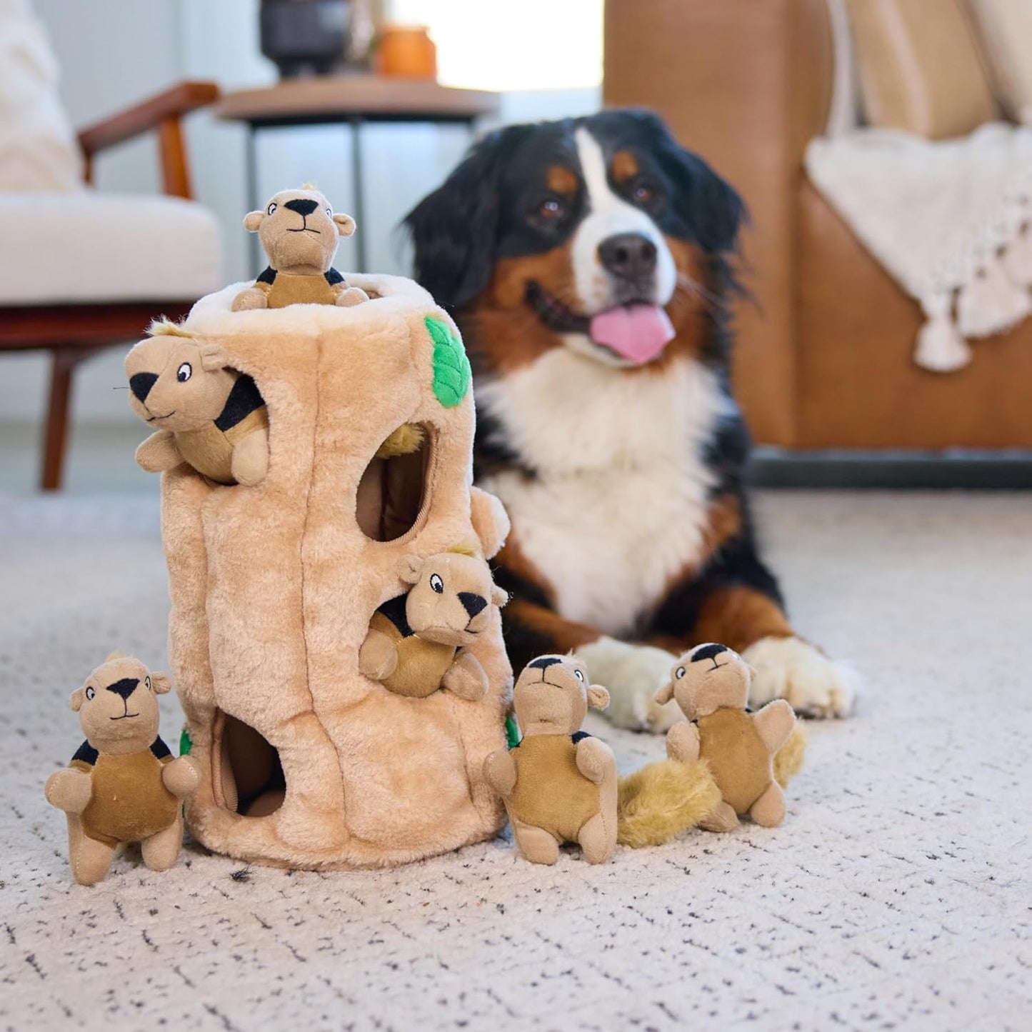 Outward Hound Hide-A-Squirrel Plush Dog Puzzle Toy, XL