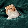 Bedsure Fleece Blanket – Lightweight & Cozy