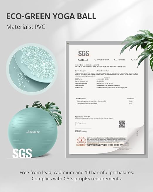 Trideer Stability Exercise Ball