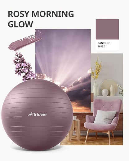 Trideer Stability Exercise Ball
