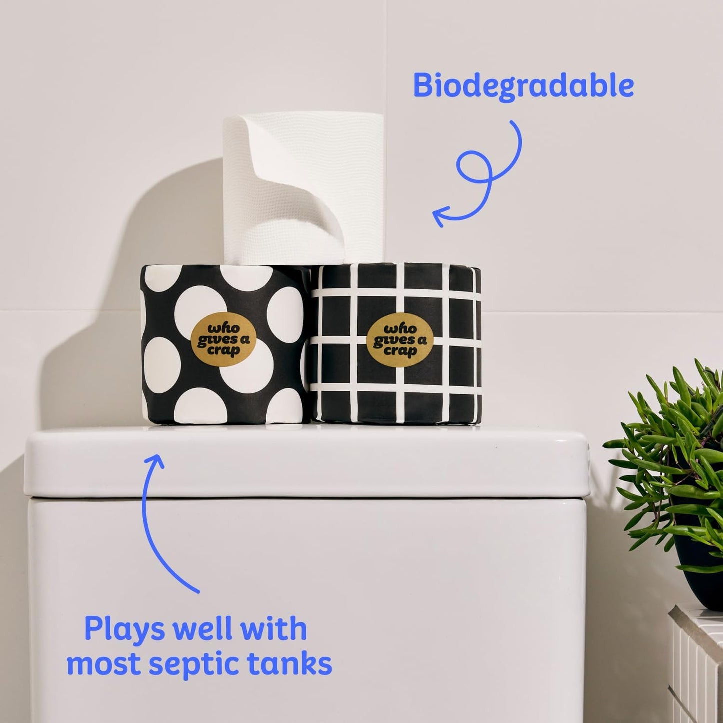 Who Gives A Crap 100% Bamboo Toilet Paper, 24 Rolls, 3 Ply, 330 Sheets, Long, Strong & Soft Toilet Tissue, Sustainable, Biodegradable, Renewable, Tree Free Bathroom Tissue Made with Bamboo Fibers
