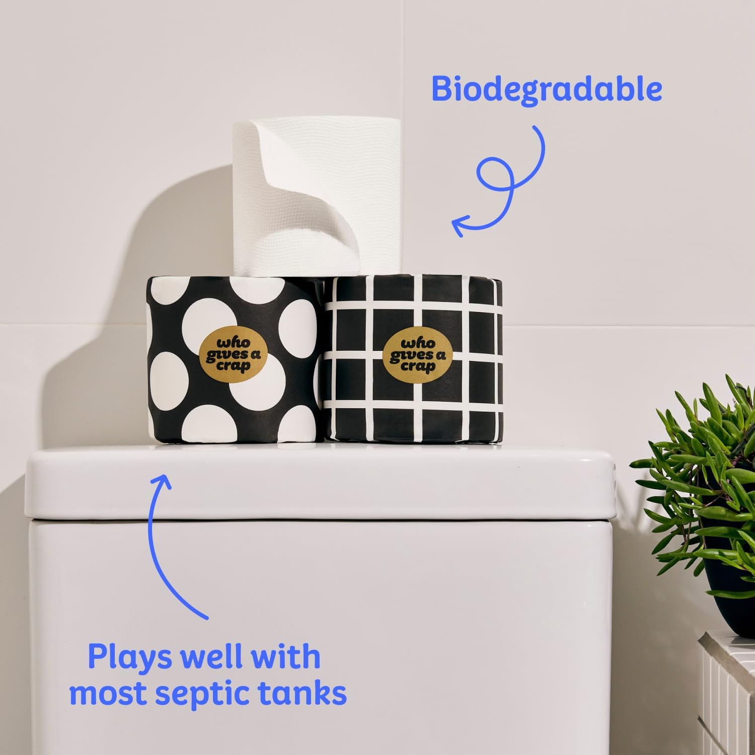 Who Gives A Crap 100% Bamboo Toilet Paper, 24 Rolls, 3 Ply, 330 Sheets, Long, Strong & Soft Toilet Tissue, Sustainable, Biodegradable, Renewable, Tree Free Bathroom Tissue Made with Bamboo Fibers