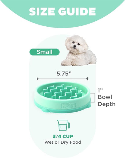 ChompChill Fun Feeder Bowl by Outward Hound