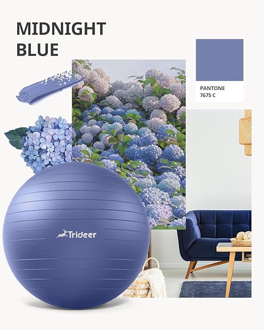 Trideer Stability Exercise Ball