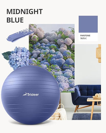 Trideer Stability Exercise Ball