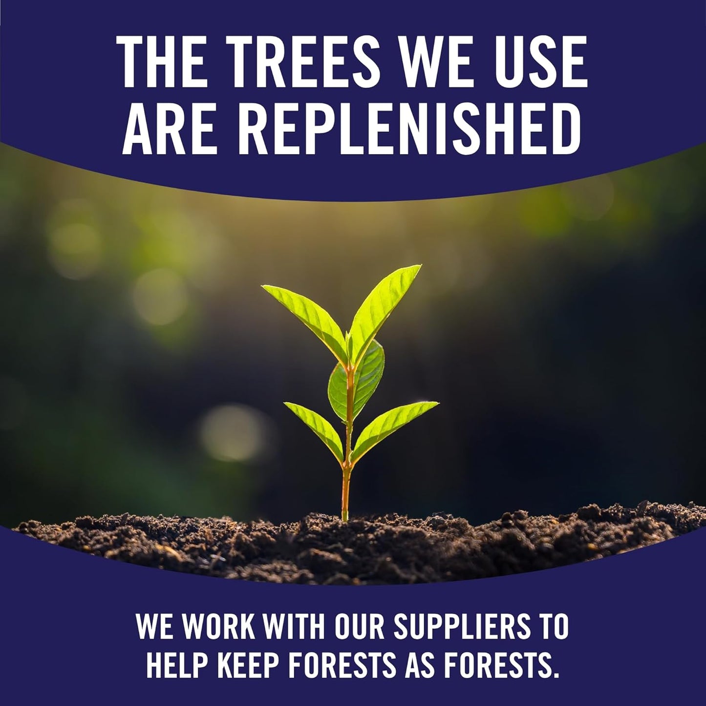 Sparkle Pick-A-Size Paper Towels, 6 Double Rolls = 12 Regular Rolls, Everyday Value Paper Towel With Full And Half Sheets