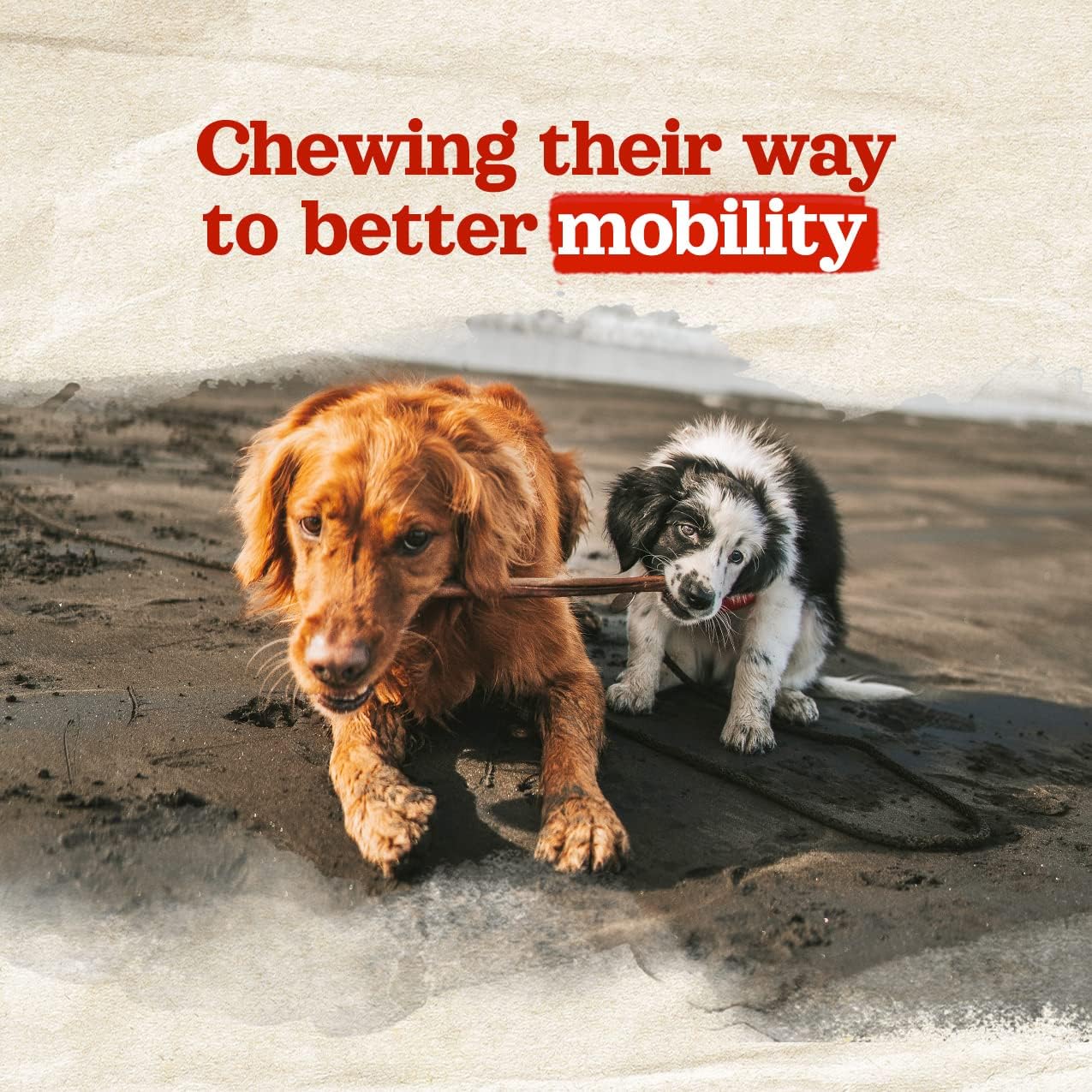 ChewStrong Natural Collagen Sticks – 6” (20 Pack)