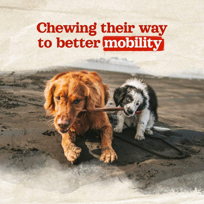 ChewStrong Natural Collagen Sticks – 6” (20 Pack)