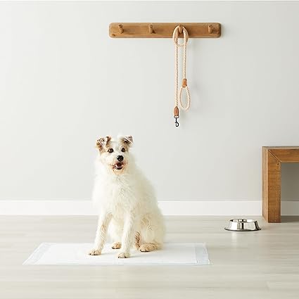 Basics Dog and Puppy Pee Pads