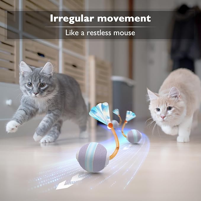 YVE LIFE Interactive Cat Toys Ball