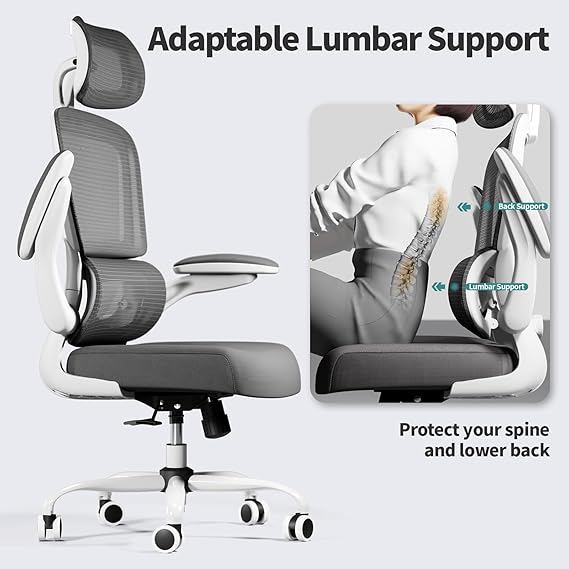 Ergonomic Office Chairs