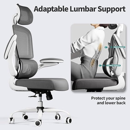 Ergonomic Office Chairs