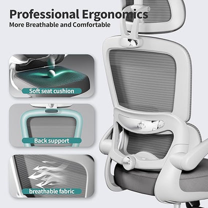 Ergonomic Office Chairs