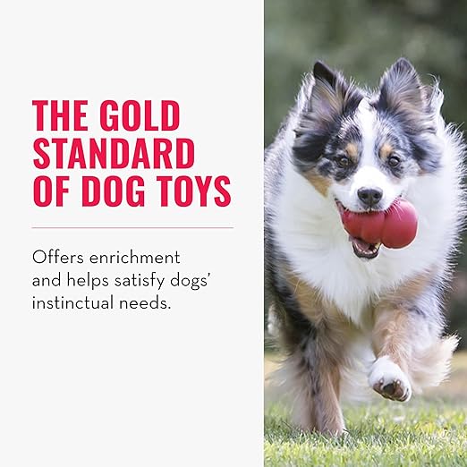 KONG Classic Dog Toy