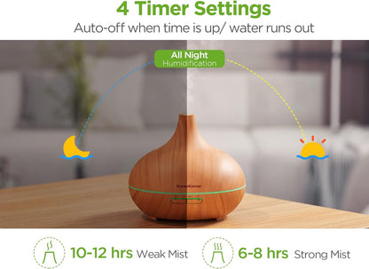 Aromatherapy Diffuser with Essential Oils