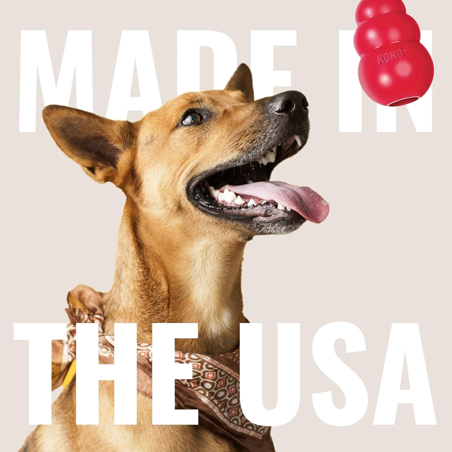 KONG Classic Dog Toy