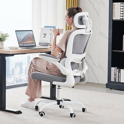 Ergonomic Office Chairs