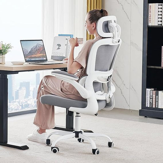 Ergonomic Office Chairs