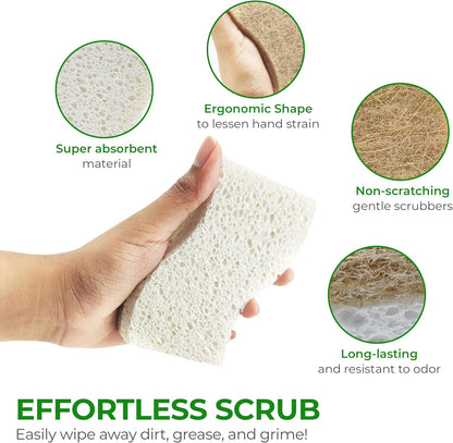 Natural Kitchen Sponge - Biodegradable Compostable Cellulose and Coconut Scrubber Sponge - Pack of 12 Eco Friendly Sponges for Dishes