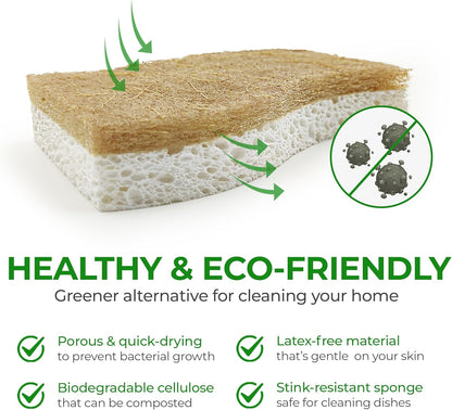 Natural Kitchen Sponge - Biodegradable Compostable Cellulose and Coconut Scrubber Sponge - Pack of 12 Eco Friendly Sponges for Dishes
