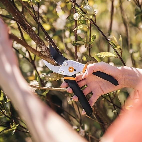 Fiskars Bypass Pruning Shears