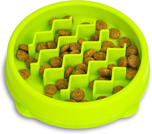 PacePal Kitty Slow Feeder Bowl by Catstages