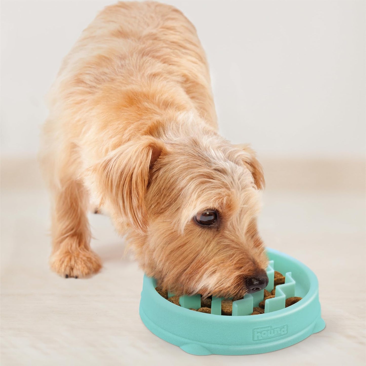 ChompChill Fun Feeder Bowl by Outward Hound