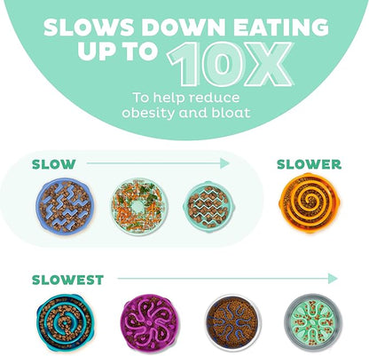 ChompChill Fun Feeder Bowl by Outward Hound