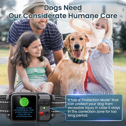 GPS Wireless Dog Fence